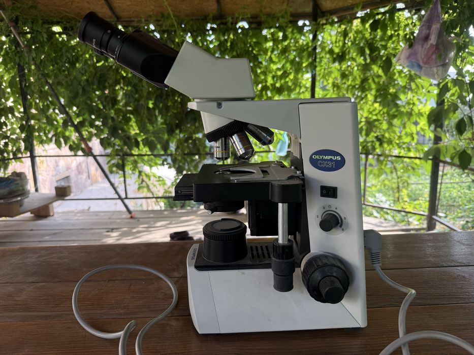 Микроскоп Olympus СХ 31