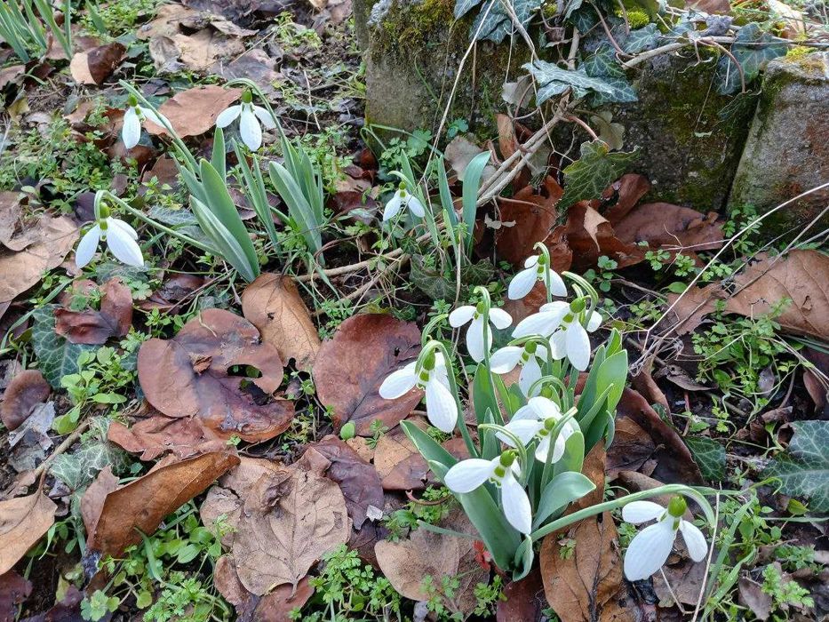 Продава се Парцел в с. Отец Паисиево, Област Пловдив - 20 кв.м за 893 €/кв.м - Снимка #5