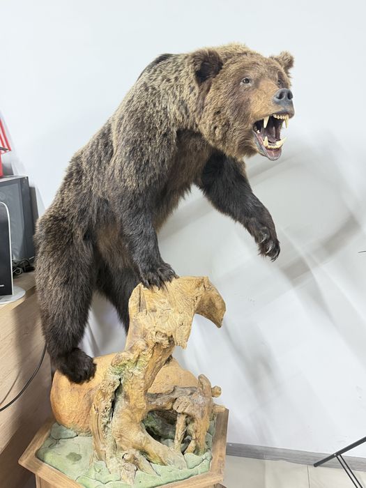 Чучело медведя в идеале