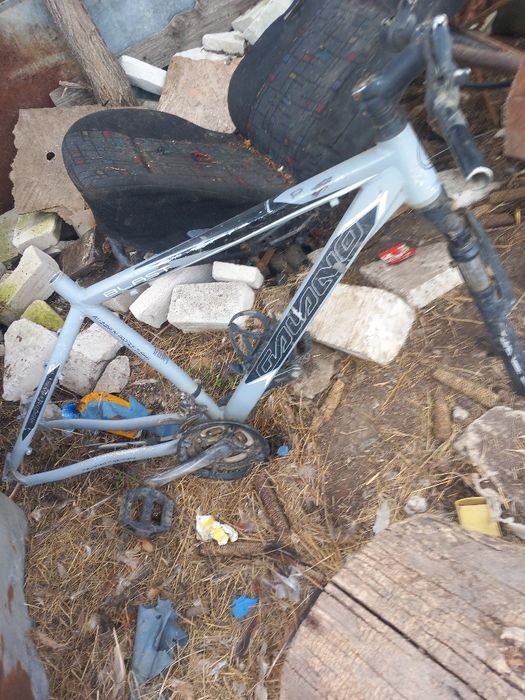 Cadru bicicleta + jante cu spițe groase