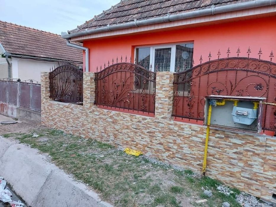 Executăm Porți din fier forjat.