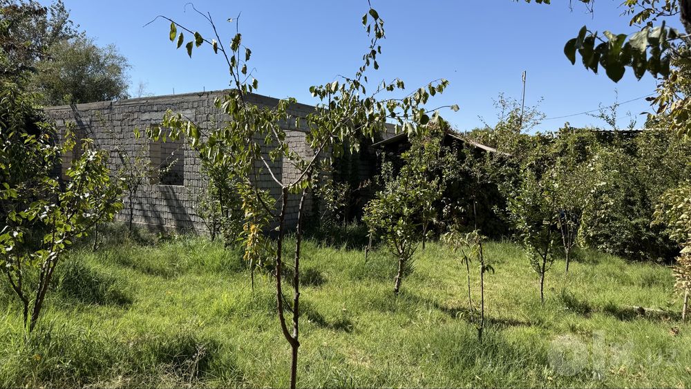 Dacha Sotiladi Tayyor