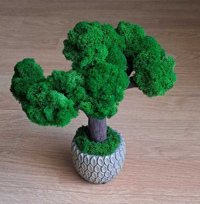 Decorațiuni cu licheni