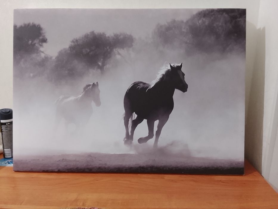 Продам картины на холсте.