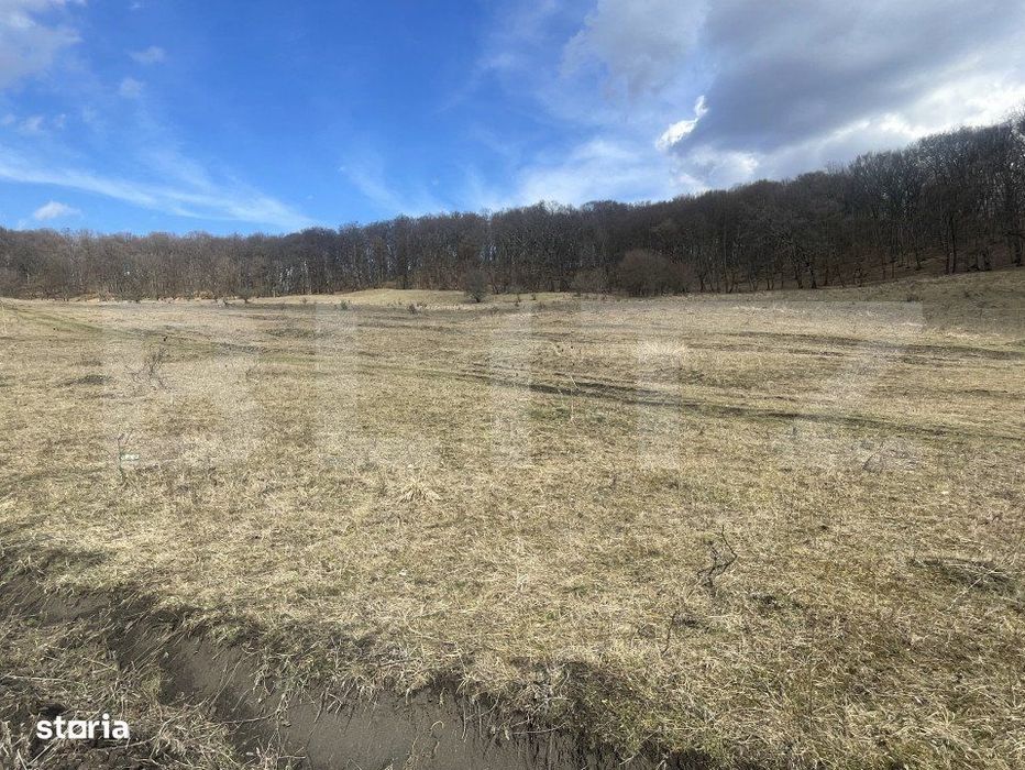 Teren extravilan de vanzare, 2,4 hectare, zona drumul Tarpiului