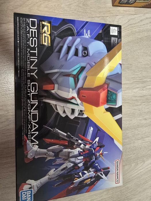 destiny gundam rg 1/144