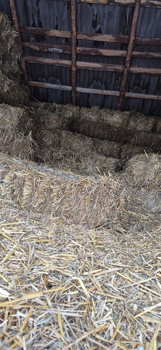 Vând baloti de paie