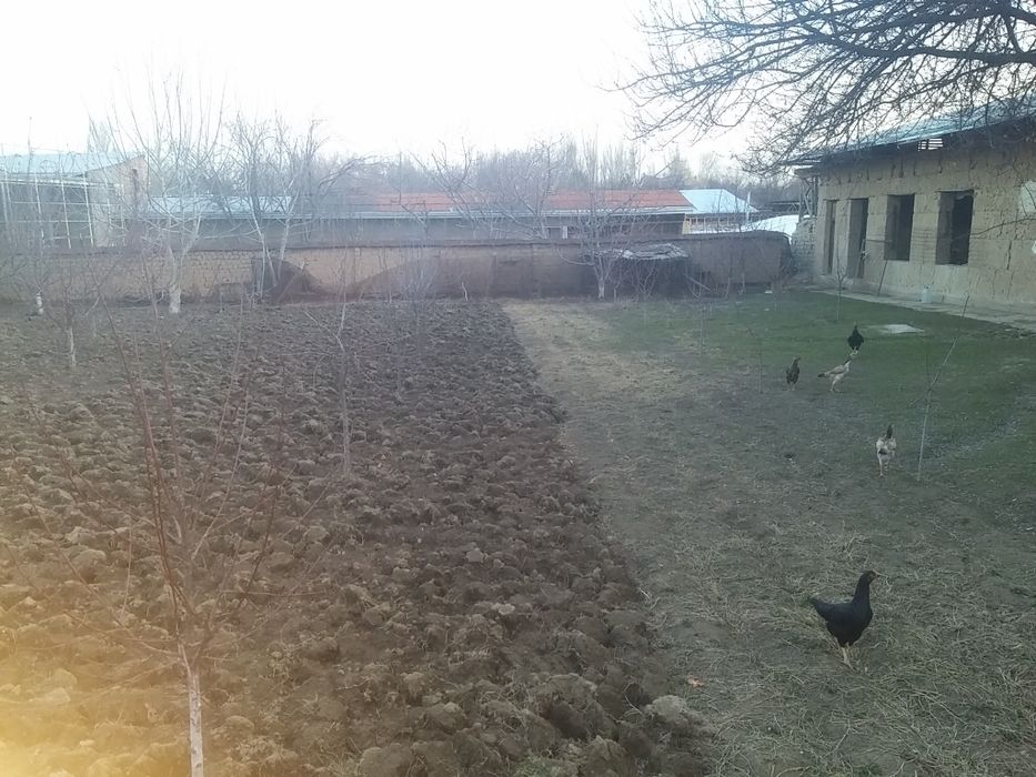 Srochno  Xasanboy  11 sotih 3+2 hona uy sotiladi.  Betonkadan 1.5