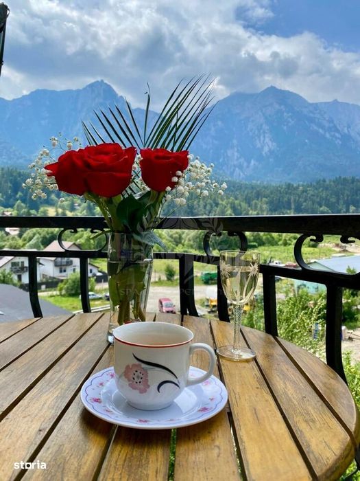 Vila Cartier Zamora//Busteni