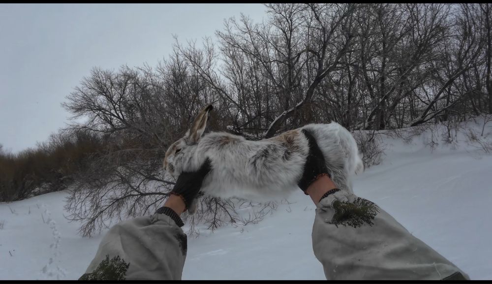 Продам деликатес