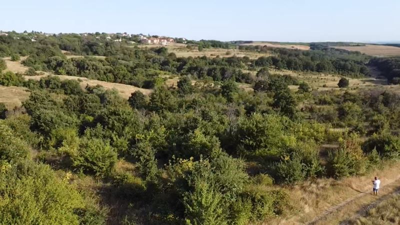Парцел в Варна, област-с.Приселци площ 5957 цена 150000