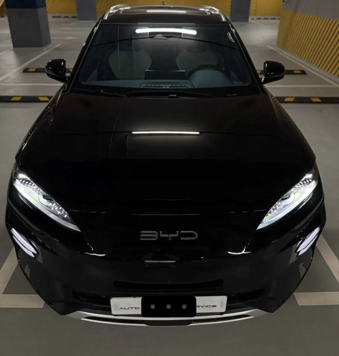 BYD Чемпион 605 HONOR 23/24