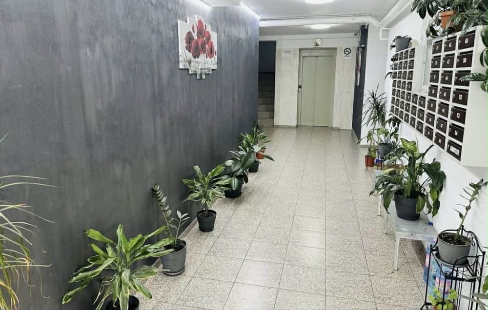 Apartament de inchiriat