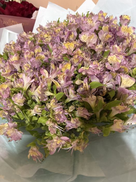 Цветы свежи новый