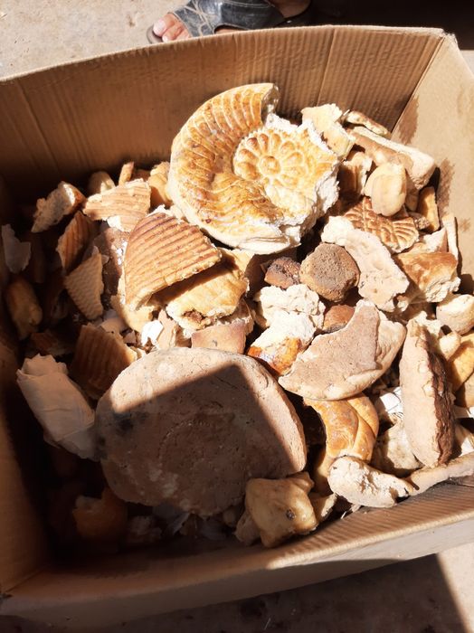 Хлеб  сухой,  чистый