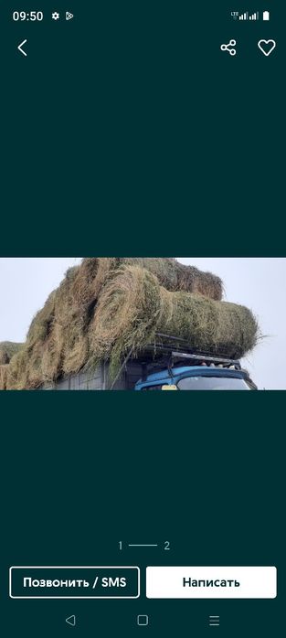 сено люцерна жоношка урлон