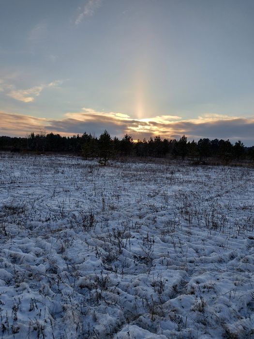 Пастбище 1900 га