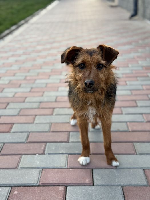 Девочка Евочка ищет любящую семью