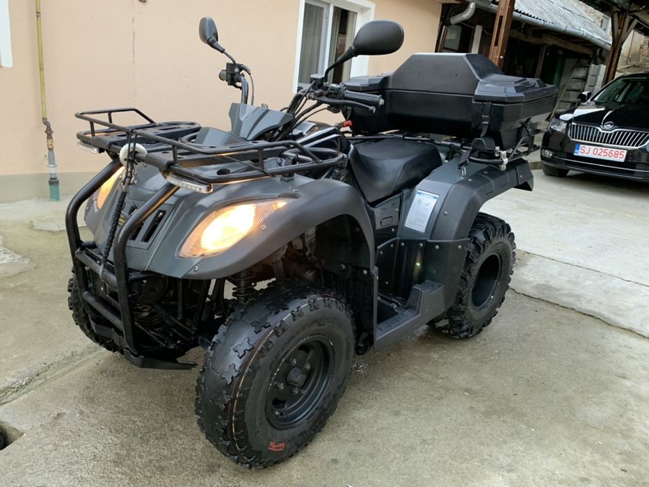 Atv Wild Cat 250