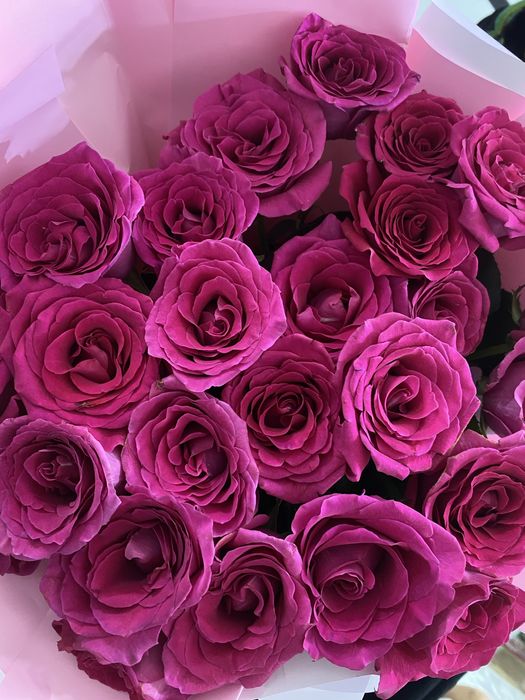 Цветы 25штук свежий роза