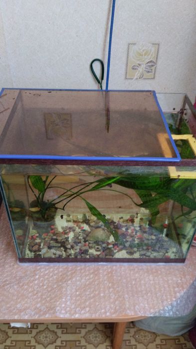 Продается аквариум. Цена-5000 тенге