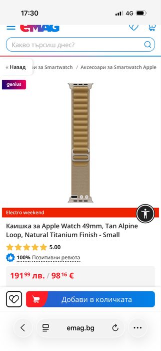 Apple watch alpine loop