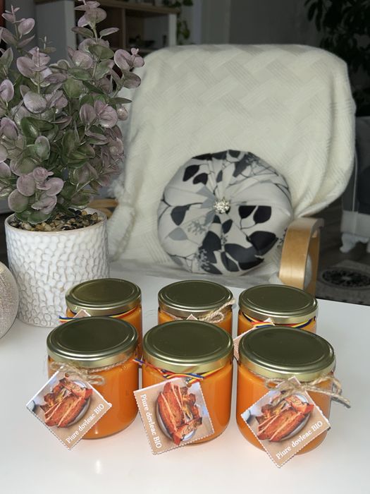 Piure dovleac placintra100% bio pt bebe .