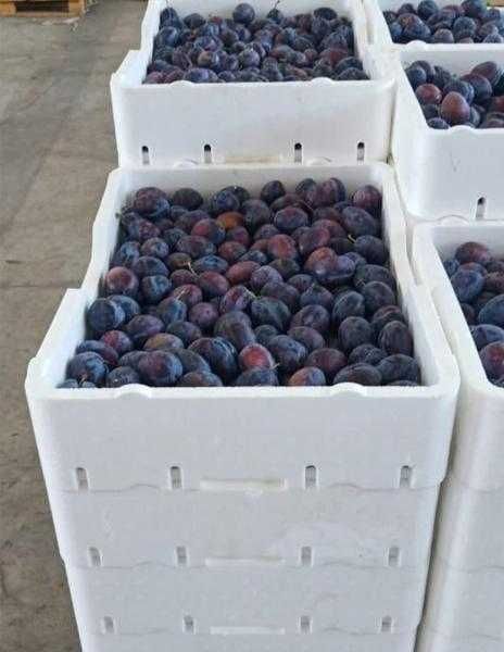 Кибер-защита свежести: пенопластовые боксы(ящики) 25 плотности