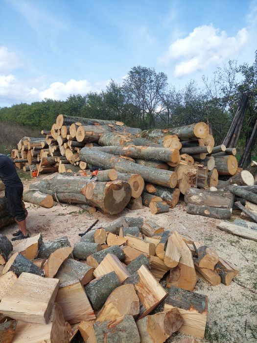 Depozit Vindem Lemn De foc În Jud Cluj