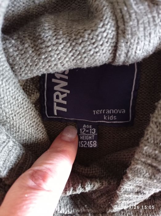 Толстовка Terranova