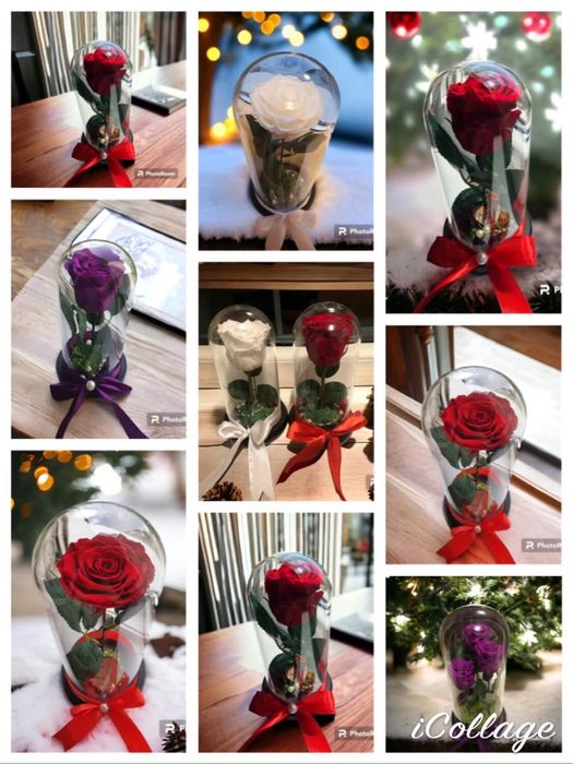 Trandafiri criogenati ursuleti in cutie cutii aranjament cadoul ideal