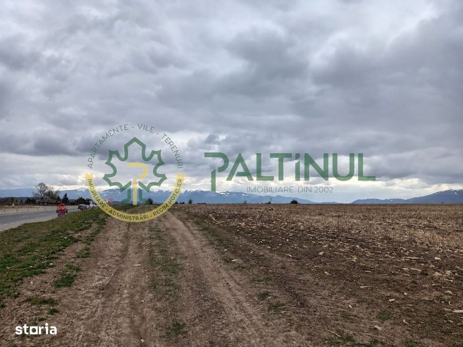Teren de vanzare, 4.000 MP, Șelimbar, Zona Ion Art, investitie