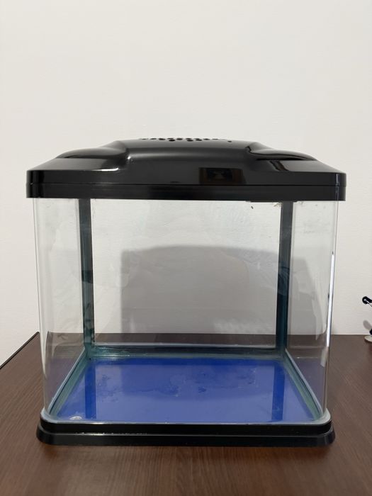 Acvariu pesti Chicos B 231