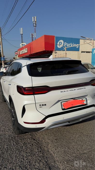 Byd champion 605