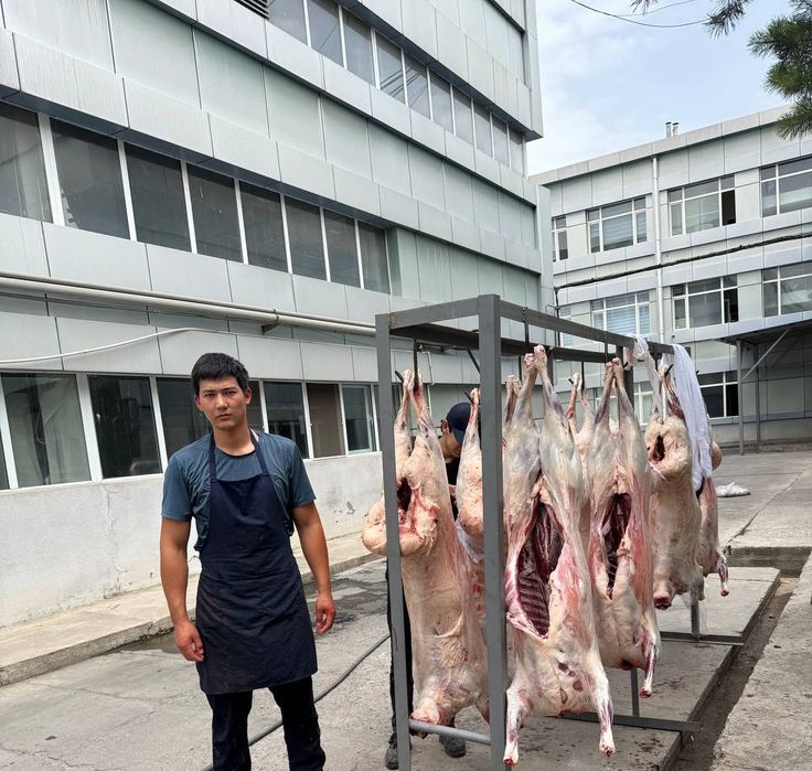 Qassob xizmati bo'stonliq
