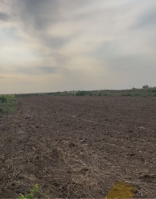 Продам дом и откормочную базу.