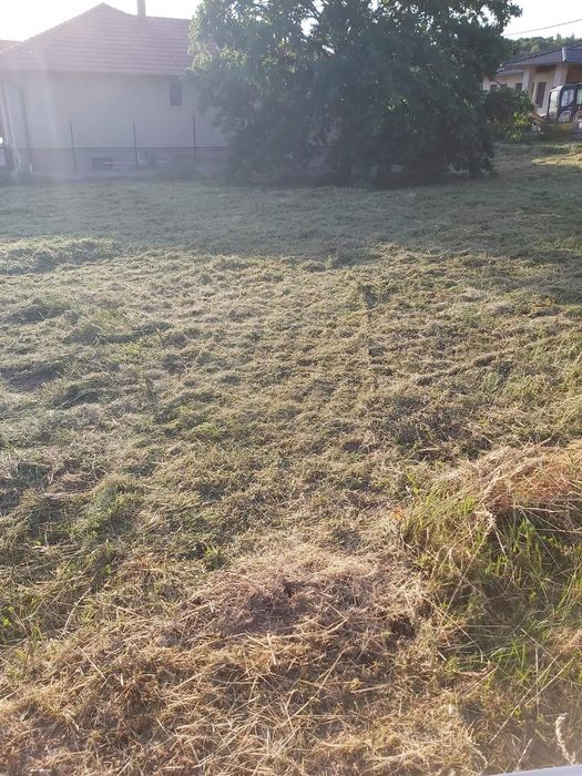 Defrișat taiat iarba  vegetație spini mărăcini .