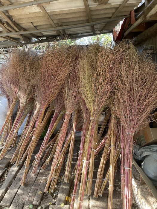 Майлы киска фотосы бар әйел