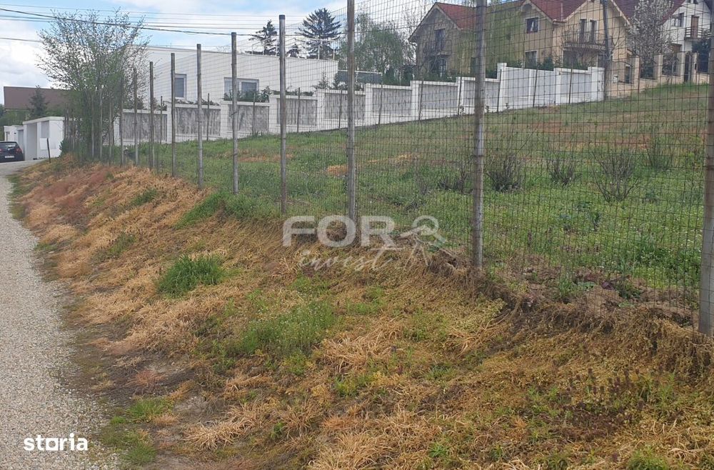Teren intravilan de vanzare 2537mp, strada Arinului
