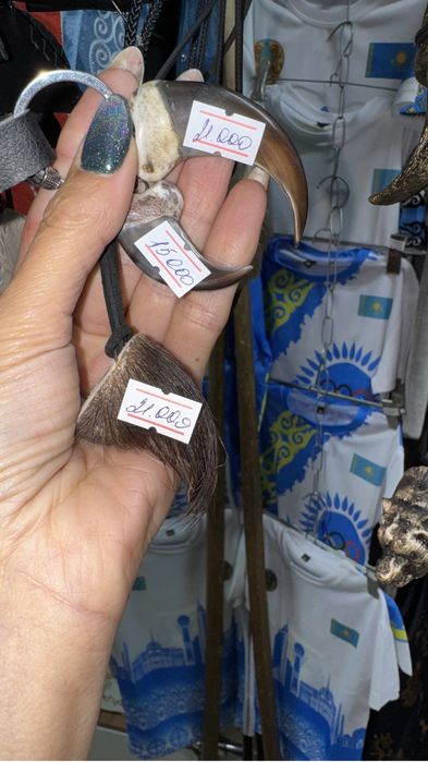 Продам Коготь медведя