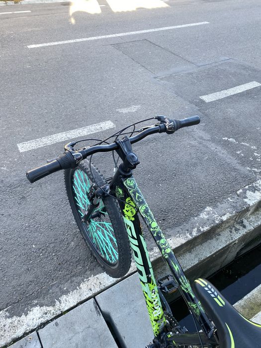 De vanzare giant in stare buna