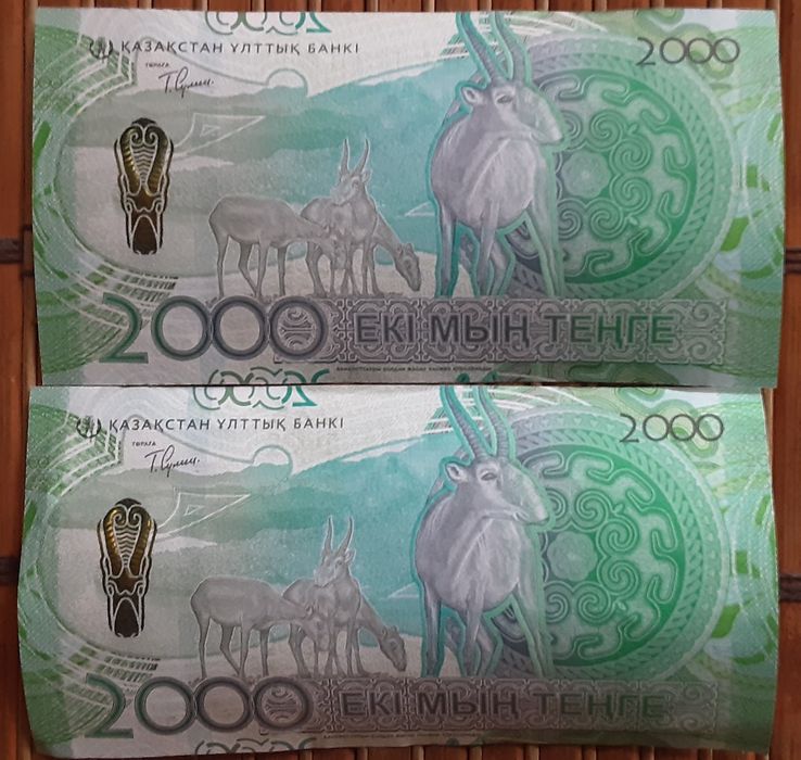 Купюры 2000 Сакский стиль