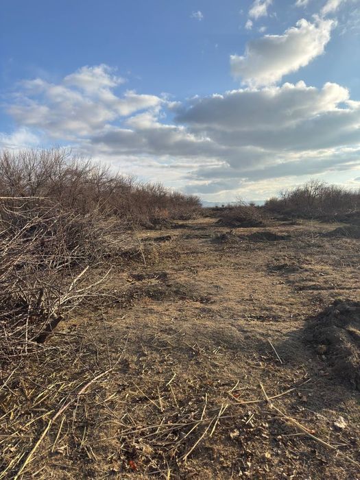 Утин сотилади.!!Дарахт кунда ва шоклар сотилади.