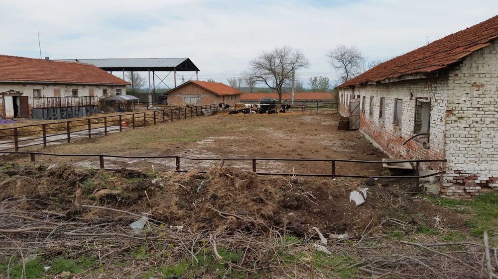 Продава се Парцел в с. Чешнегирово, Област Пловдив - 2751 кв.м за 20 €/кв.м - Снимка #5