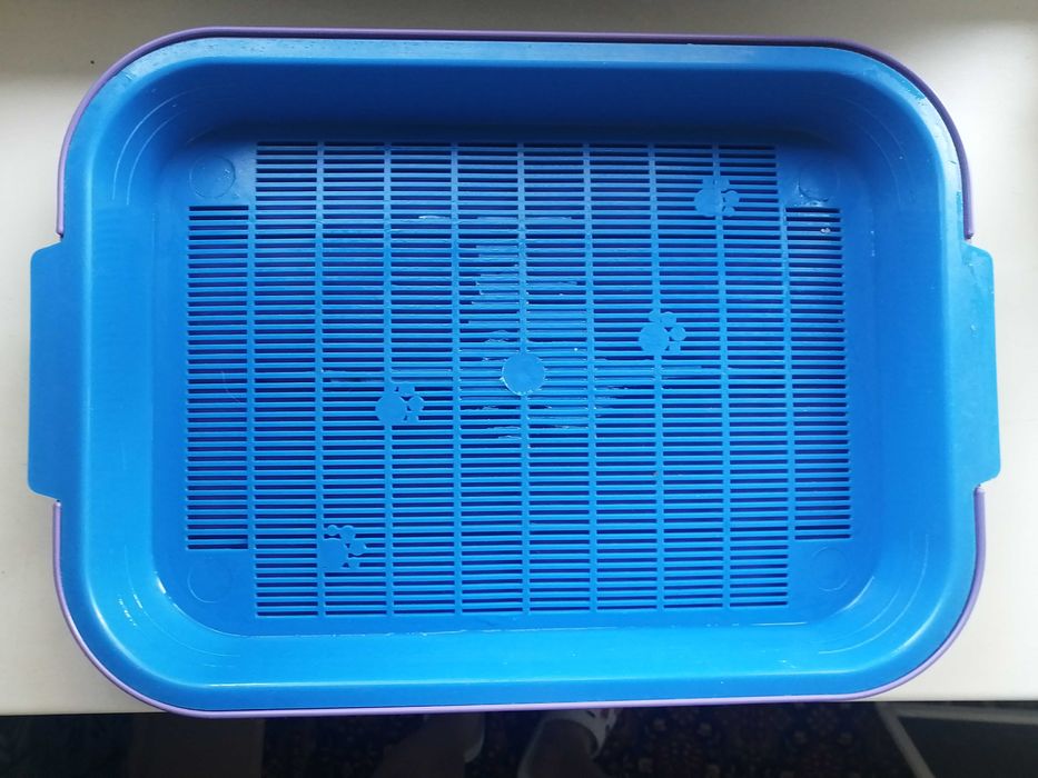 Принадлежности для кошки