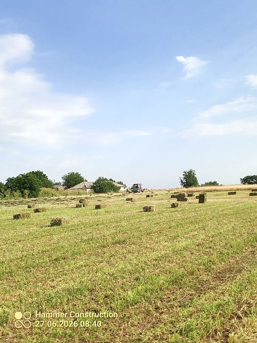 Бали люцерна, сено , слама