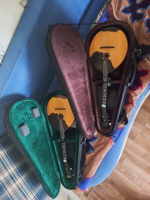 Домра малая концертная