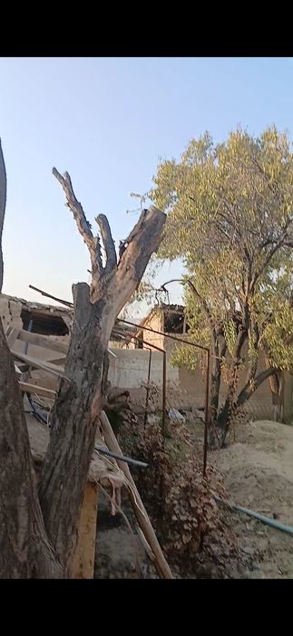 Ховли сотилади шербулакда мактаб богча якин