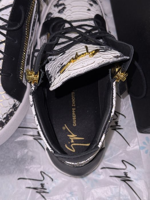 Giuseppe Zanotti