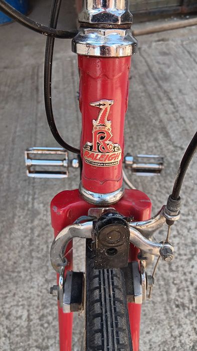 Semicursiera Raleigh